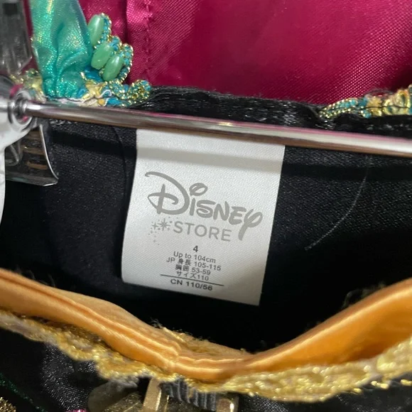 COPY - Disney Ana Coronation Gown costume